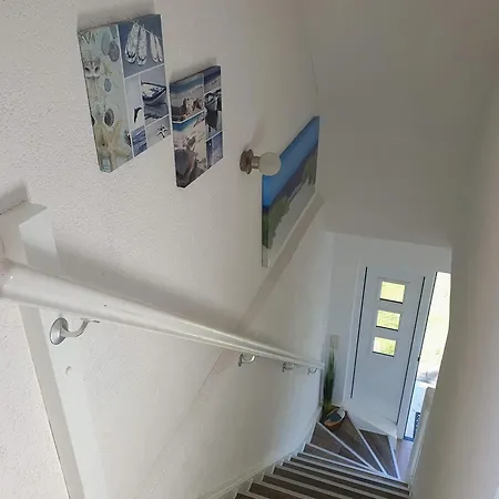 Moewe Hanshagen (Lubmin)